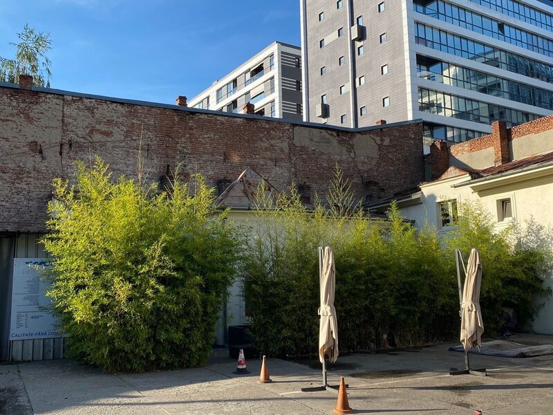 Calea Calarasilor, inchiriere vila central Bucuresti pentru angajati straini sau alte activitati